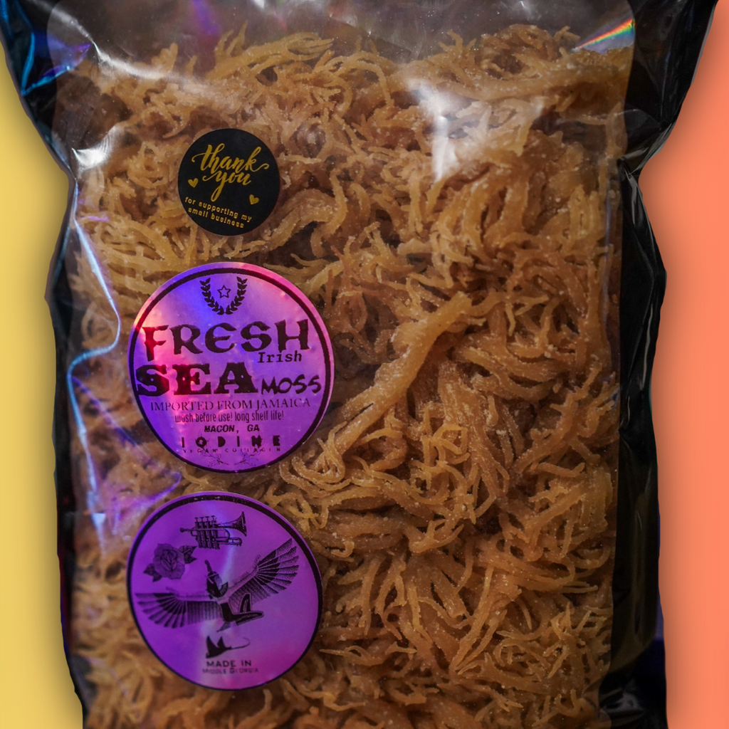 1lb Fresh Raw Jamaican Sea Moss — Rare Iodine, Vegan Collagen & Long-Lasting Vitality
