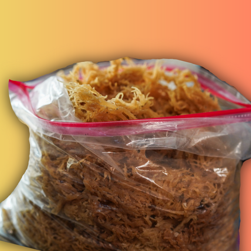 1/2lb Fresh Raw Jamaican Sea Moss — Rare Iodine, Vegan Collagen & Long-Lasting Vitality